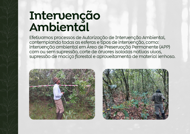 Intervenção Ambiental