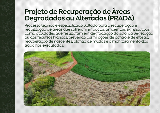 Projeto de Recuperação de Áreas Degradadas ou Alteradas (PRADA)